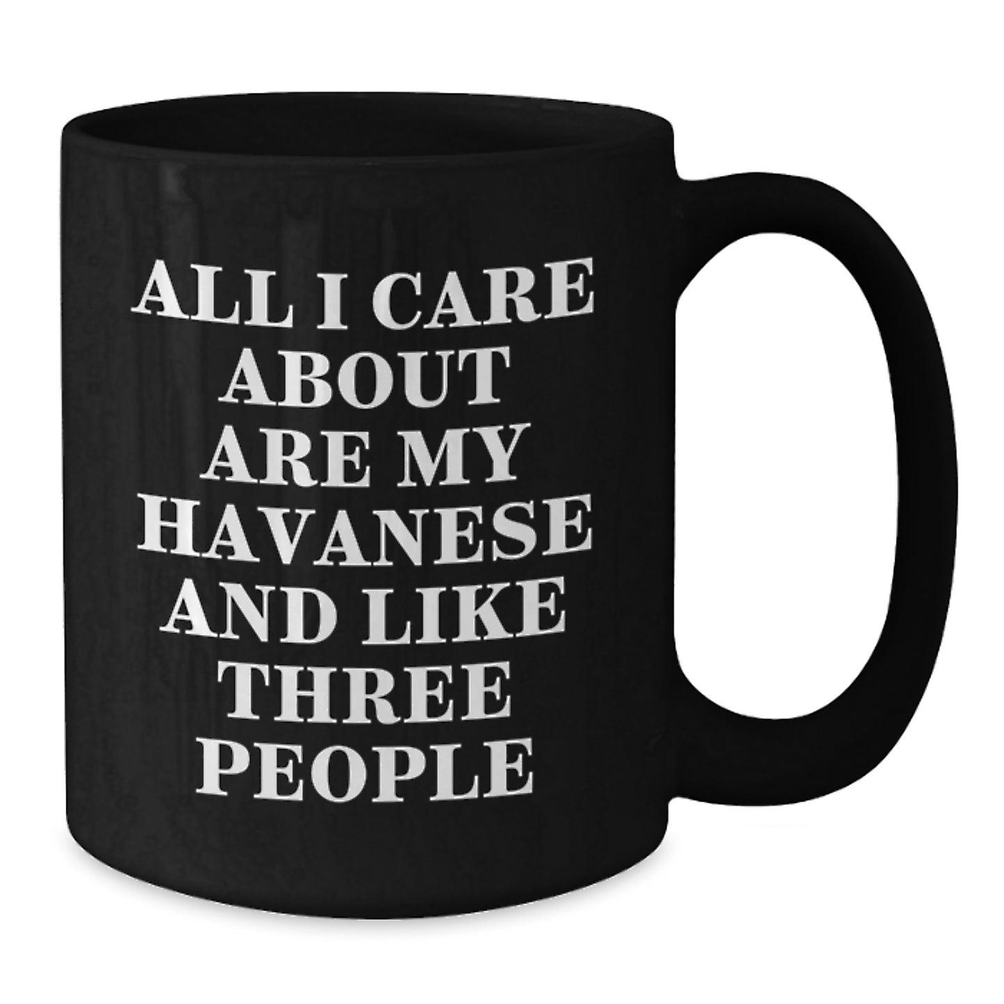Funny Havanese Dog Lover Gifts from Friends for Birthday Unique Black Coffee Mug - Additional