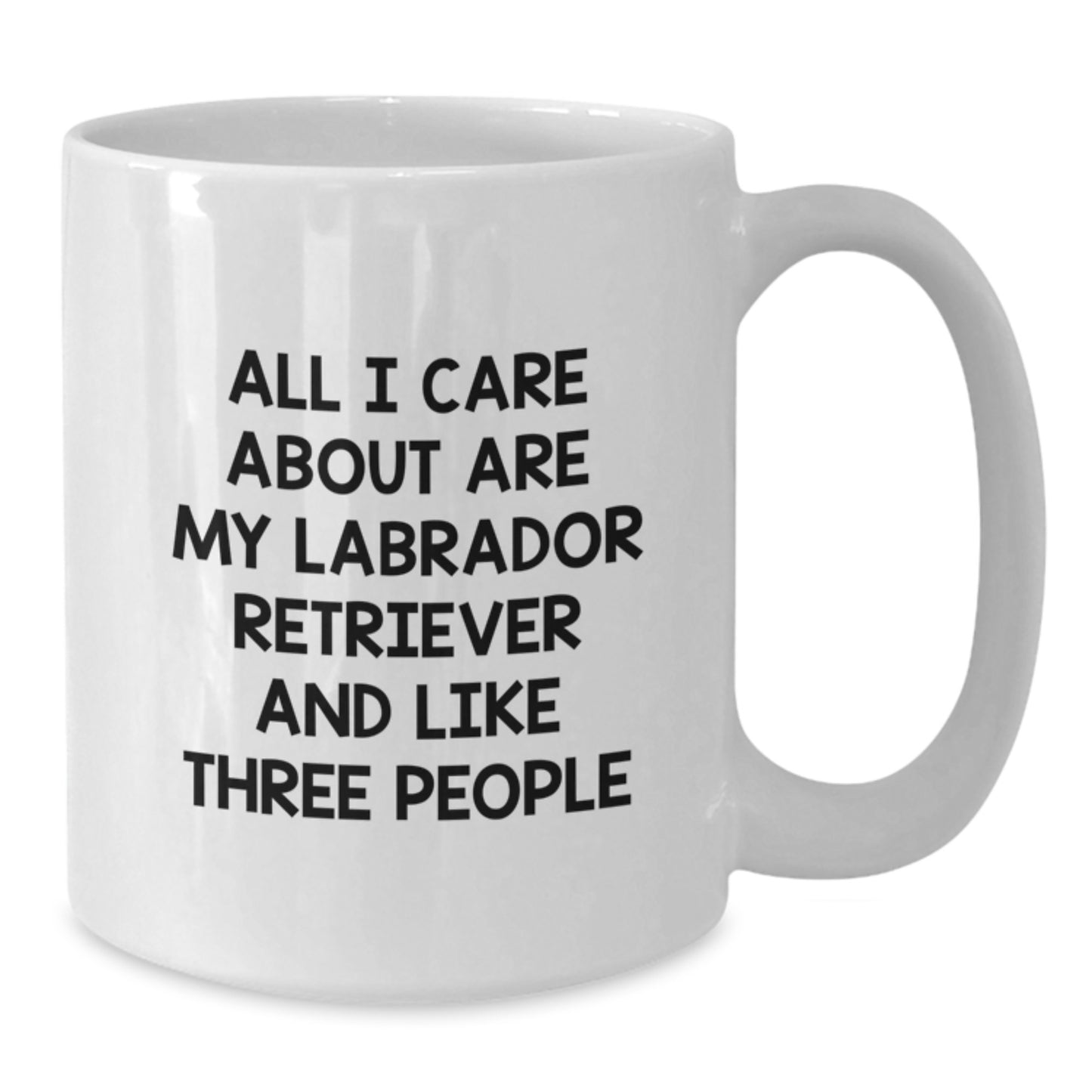 Labrador Retriever Dog Lover Funny Quote Gifts from Friends to Family Birthday Unique Coffee Mugs - Additional