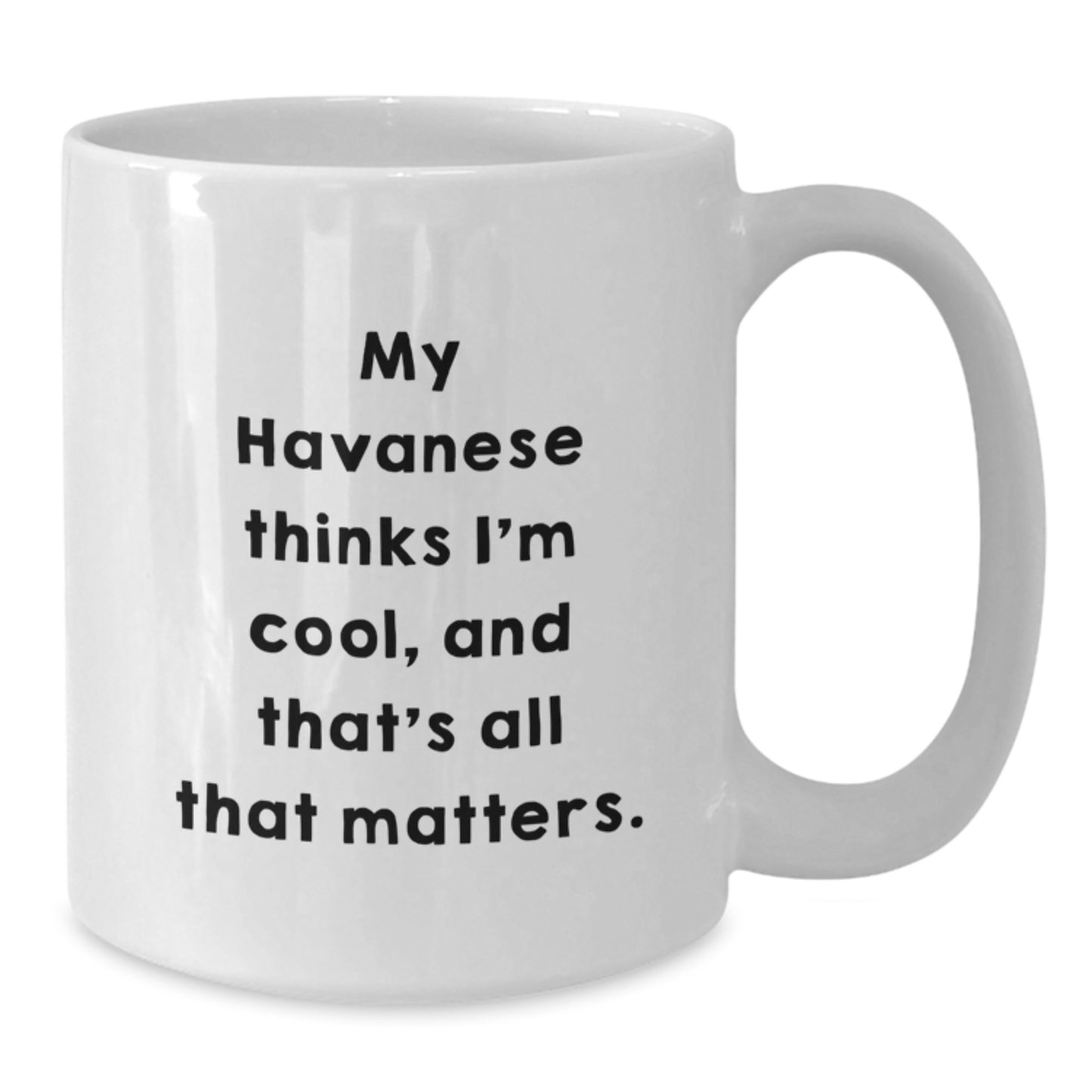 Funny Havanese Dog Lover Gifts for Him from Friends - White Coffee Mug with I'm Cool Quote - Additional