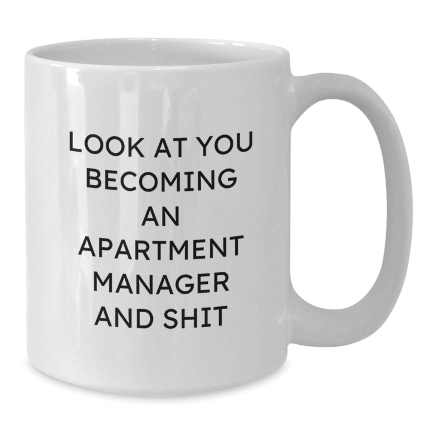 Gifts from Friends, Apartment Manager Unique Gifts, Graduation Funny Mugs 'Look At You Becoming An Apartment Manager And Shit' - Additional