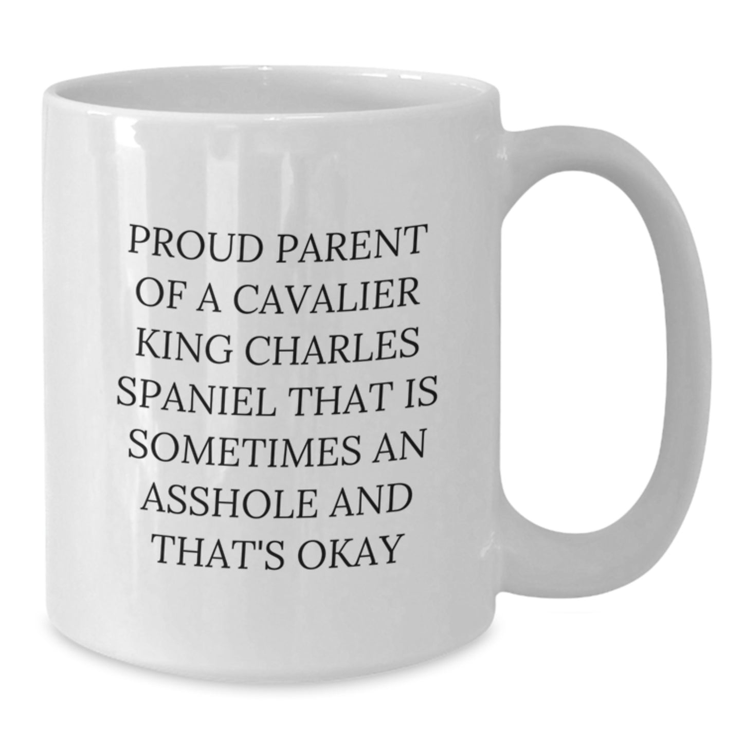 Funny Cavalier King Charles Spaniel Dog Gifts for Proud Parents, White Coffee Mug for Women, Mother's Day Unique Gifts from Men - Additional
