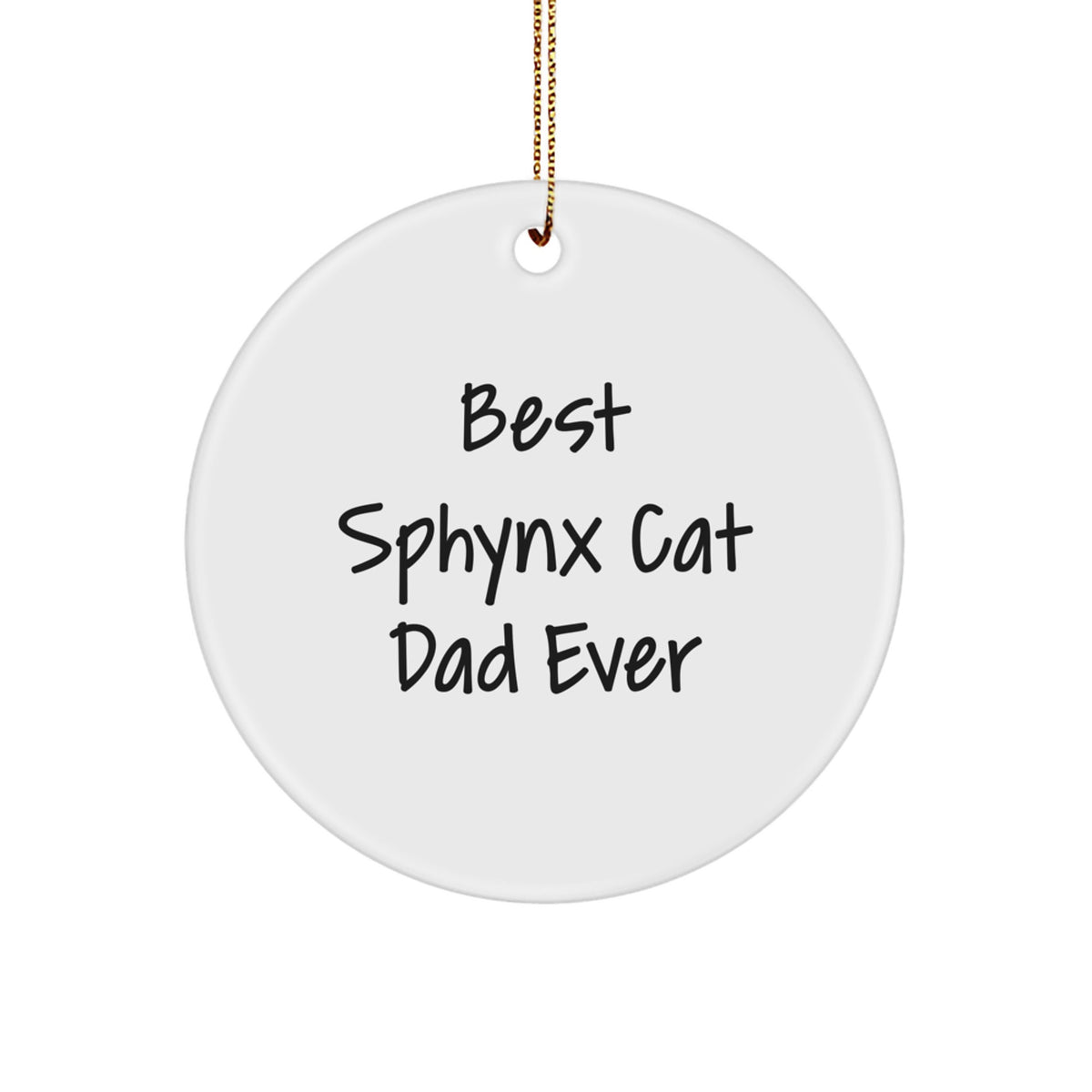 Playful Sphynx Cat Dad Christmas Ornament for Friends Novelty Gift - Image 1