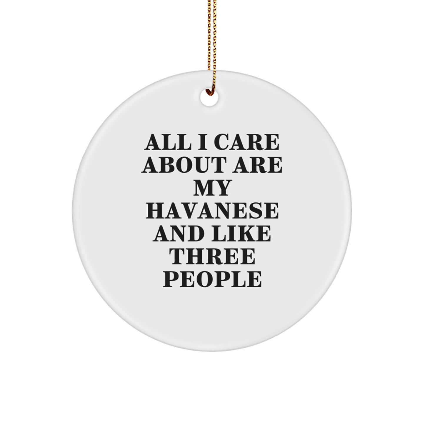 Gifts from Family Members - Funny Havanese Dog Lover Circle Ornament for Christmas Unique Gifts - Image 1