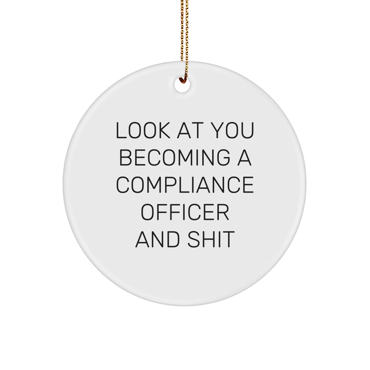For Him Compliance Officer Keepsake Look At You Christmas Ornament Gift - Image 1
