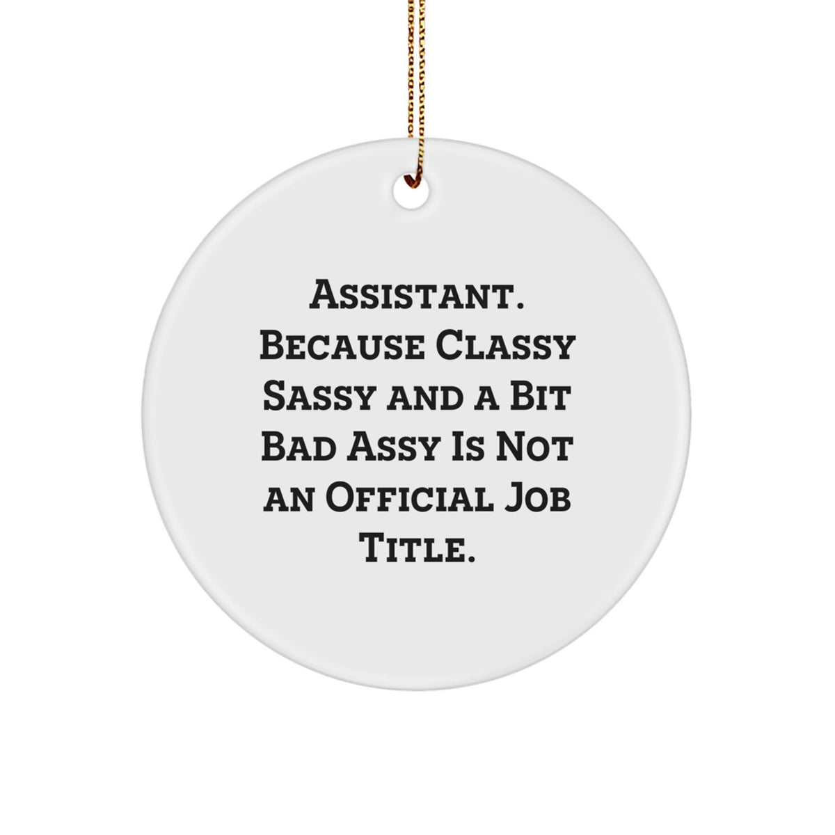 Funny Assistant Gifts for Men Christmas Unique Circle Ornament Gifts from Family - Image 1