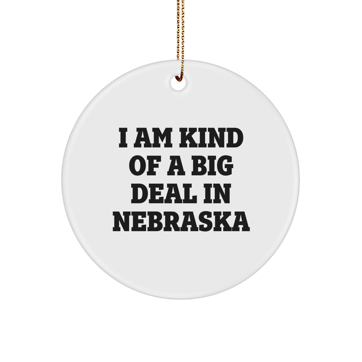Nebraska Circle Ornament Christmas Gift for Coworkers Idea - Image 1