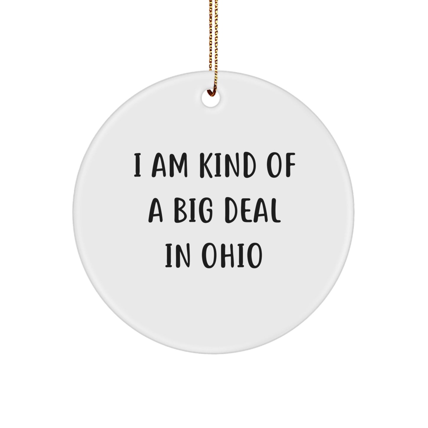 Funny Ohio Circle Ornament Gifts from Men to Women or Coworkers, Unique I Am Kind Of A Prime Selection In Ohio Christmas Unique Gift - Image 1