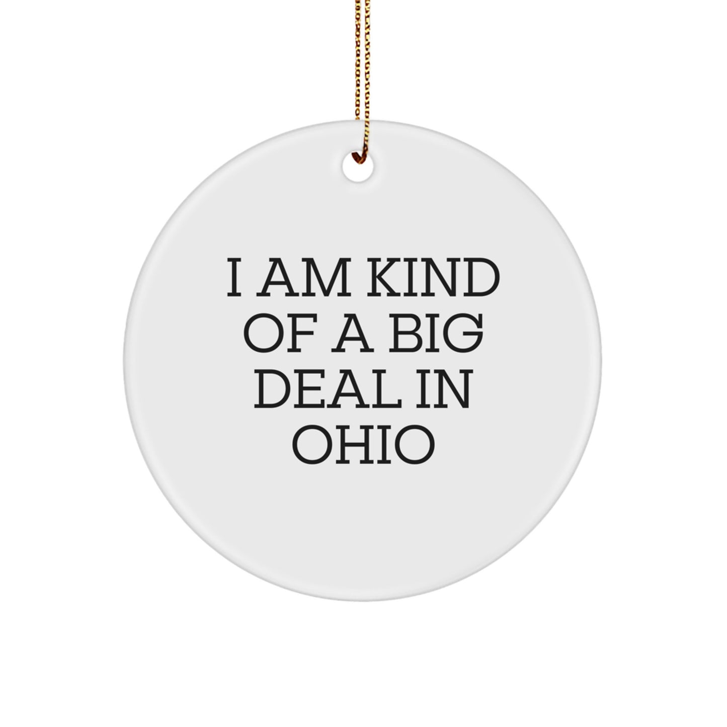 Funny Ohio State Circle Ornament For Friends Gifts from Ohio, A Great Gift for Ohio State Fans, Christmas Unique Gifts - Image 1