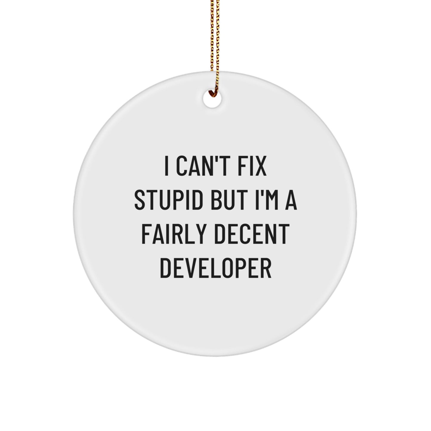 Funny Developer Gifts from Friends, Circle Ornament I Can't Fix Stupid But I'm A Fairly Decent Developer, Christmas Unique - Image 1