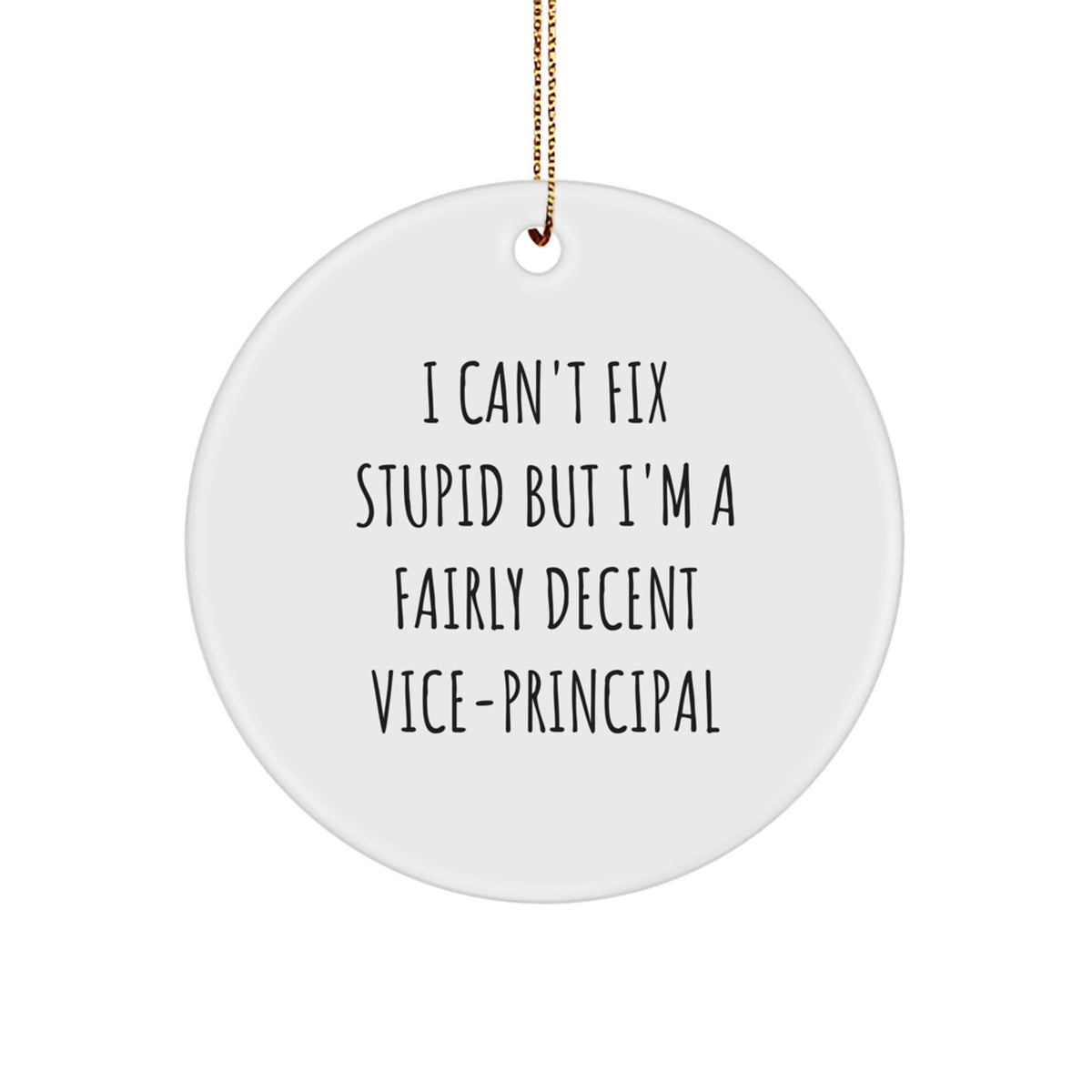 Funny Vice-principal Gifts from Men for Vice-principal, Christmas Unique Gifts for Men, Circle Ornament with I Can't Fix Stupid - Image 1