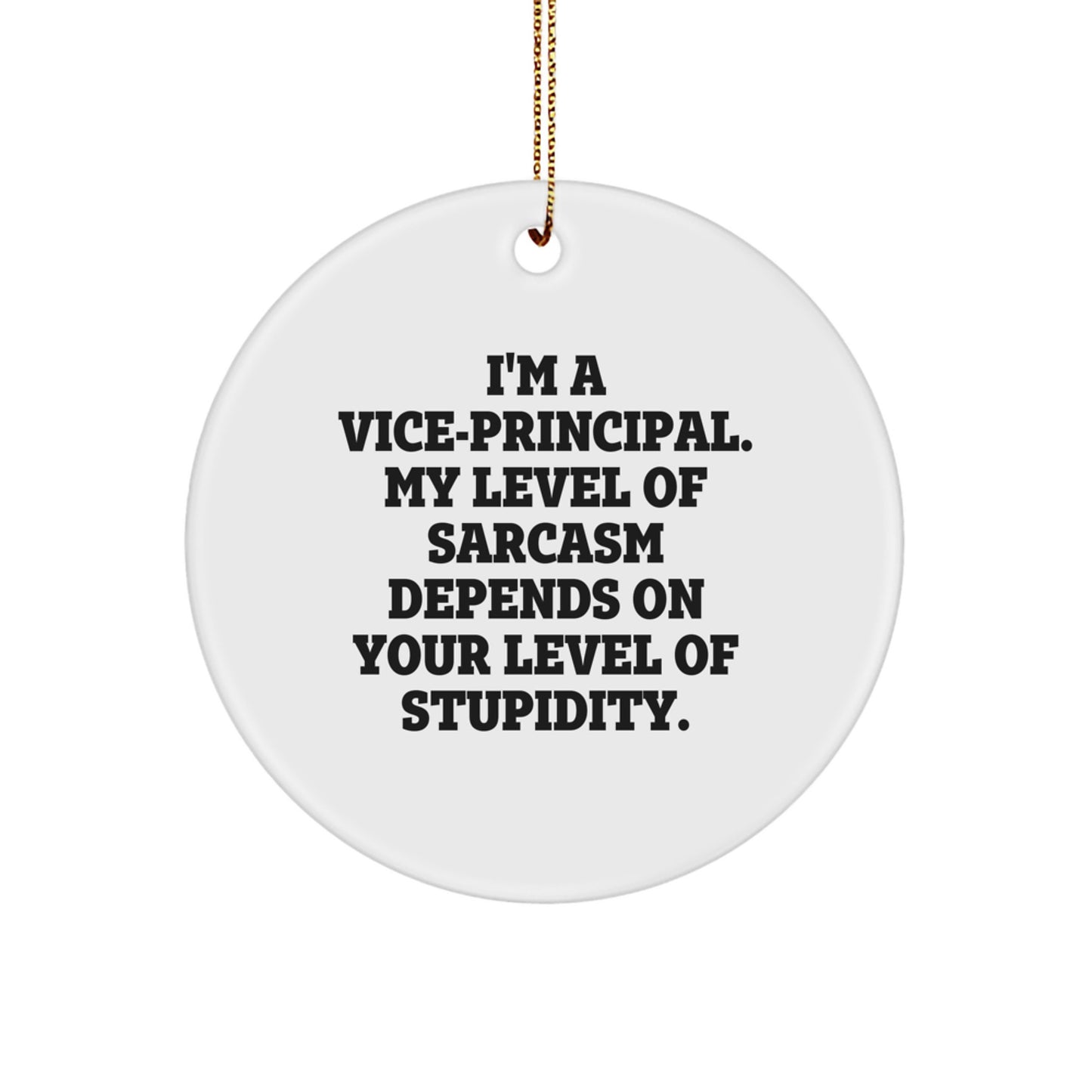 Funny Vice-Principal Gifts from Friends - Vice-Principal Circle Ornament - Christmas Unique Decorations for Schools - I'm A Vice-Principal Gifts for Men, Women, Coworkers - Image 1