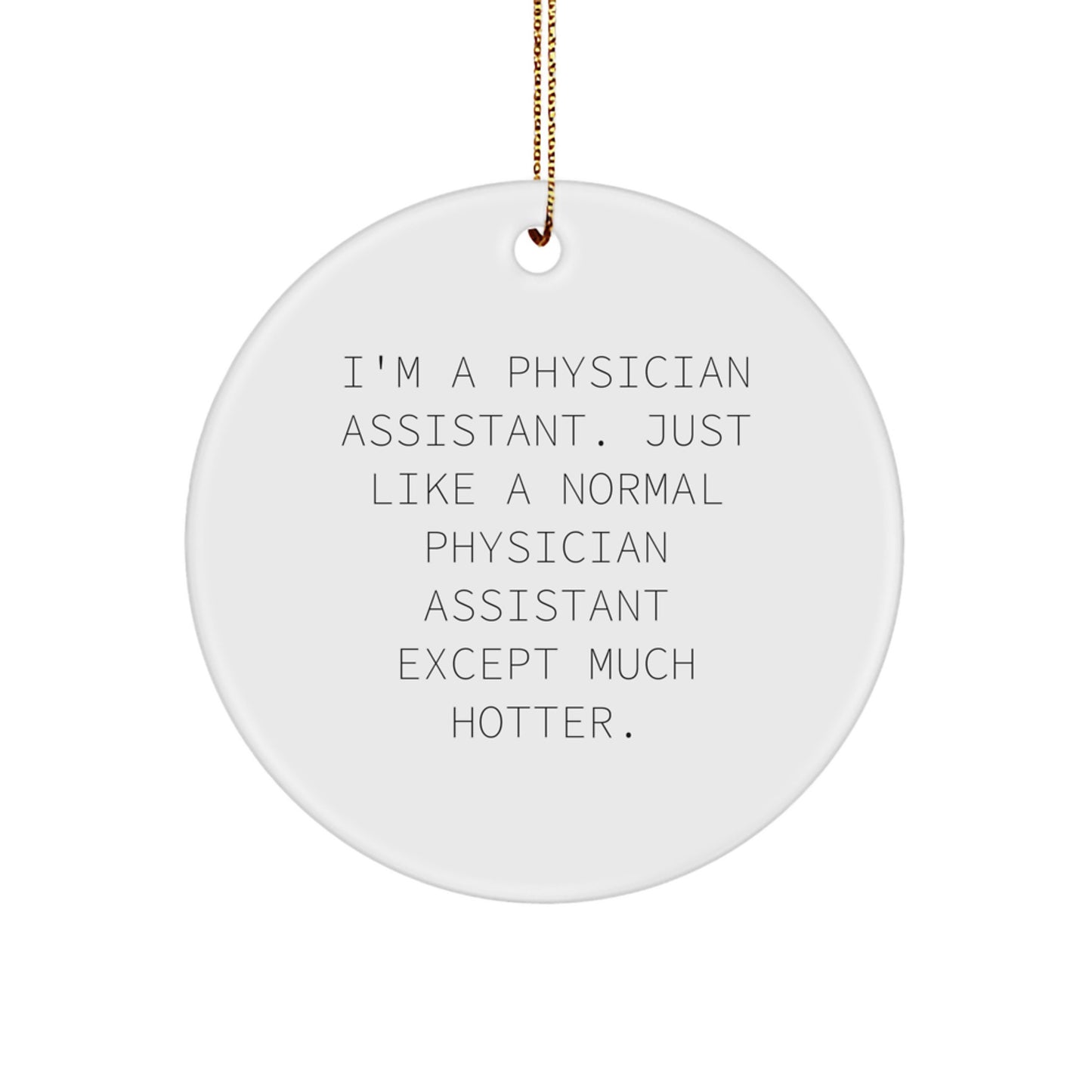 Funny Physician Assistant Gifts, Unique Circle Ornament for Men, Gifts from Friends, Gifts for Physician Assistant - I'm A Normal P.A. Except Much Hotter. - Image 1