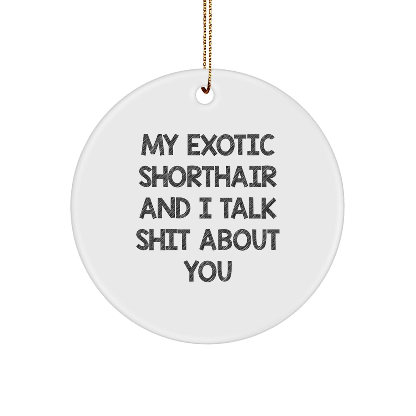 Funny Exotic Shorthair Cat Gifts from Family, Exotic Shorthair Cat Circle Ornament for Christmas Unique Gifts - Image 1