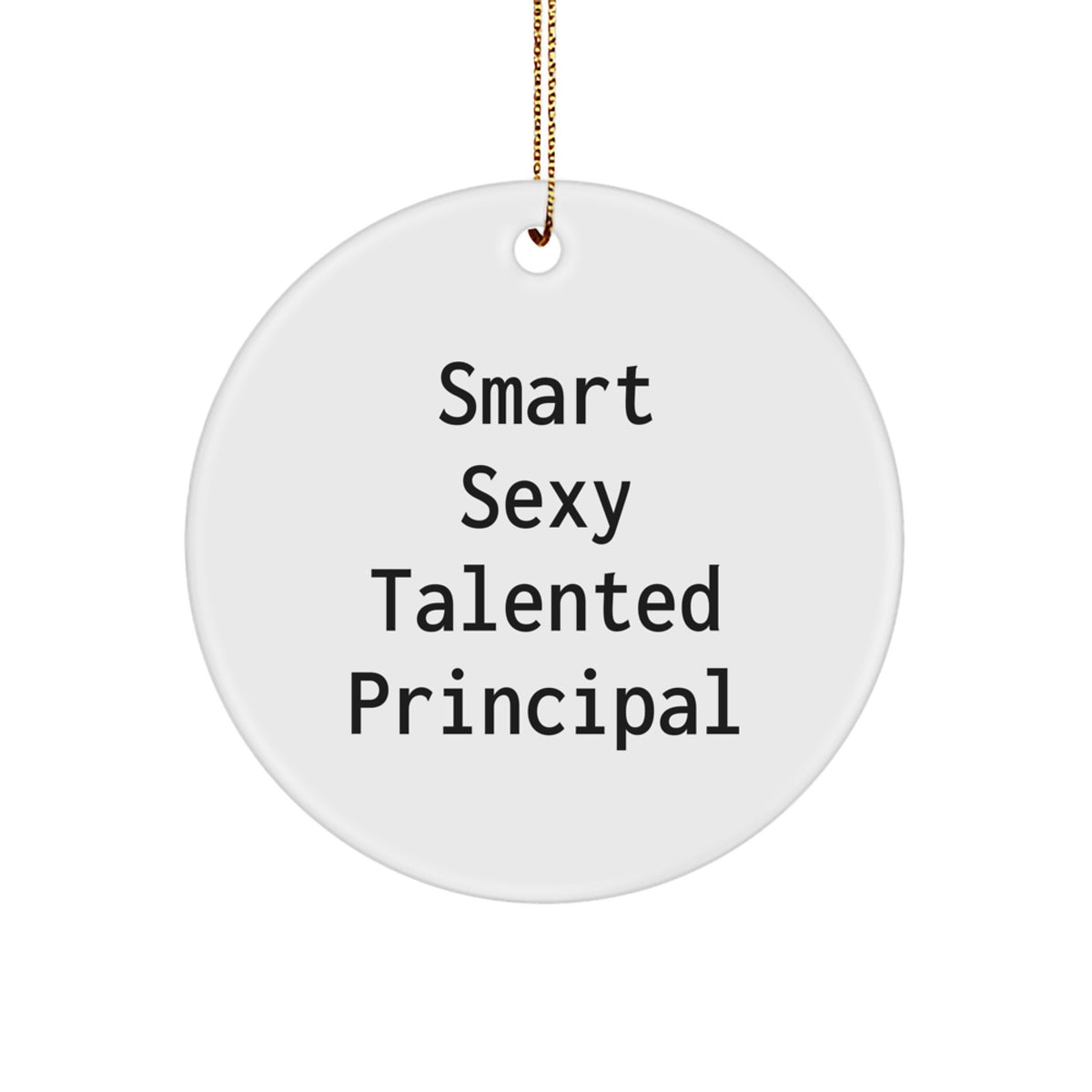 Funny Principal Circle Ornament Gifts from Men to Friends for Christmas Unique Principal Decorations - Image 1