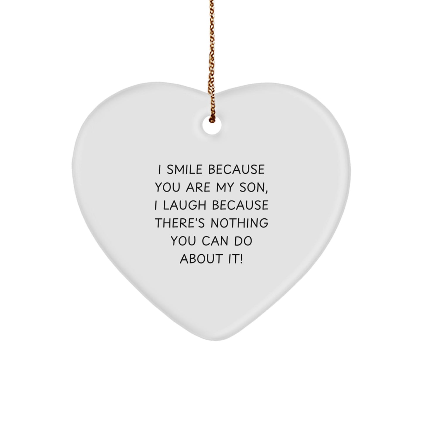 Funny Son Heart Ornament Gifts from Family, for Son, on Christmas Unique Gifts - Image 1