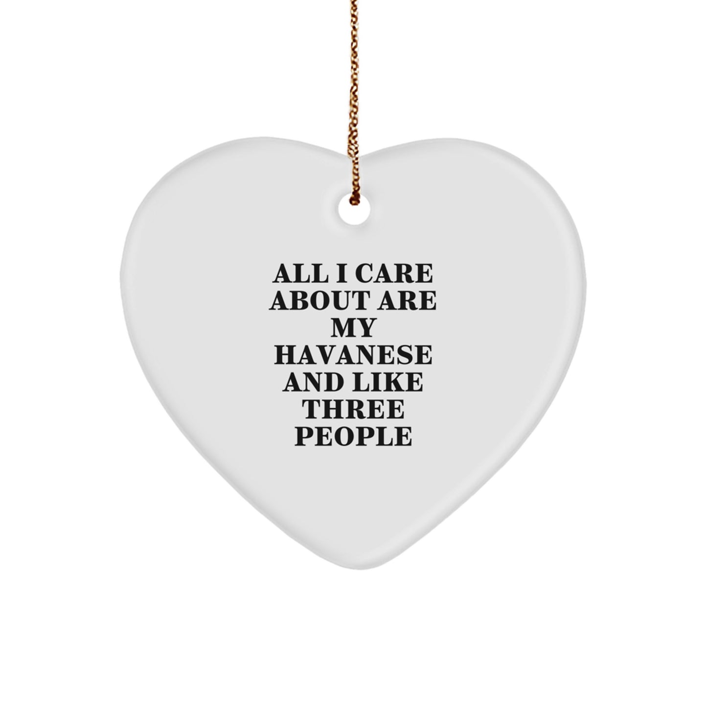Unique Havanese Dog Gifts from Men for Havanese Dog Lovers, Funny Heart Ornament for Christmas Unique Gifts - Image 1