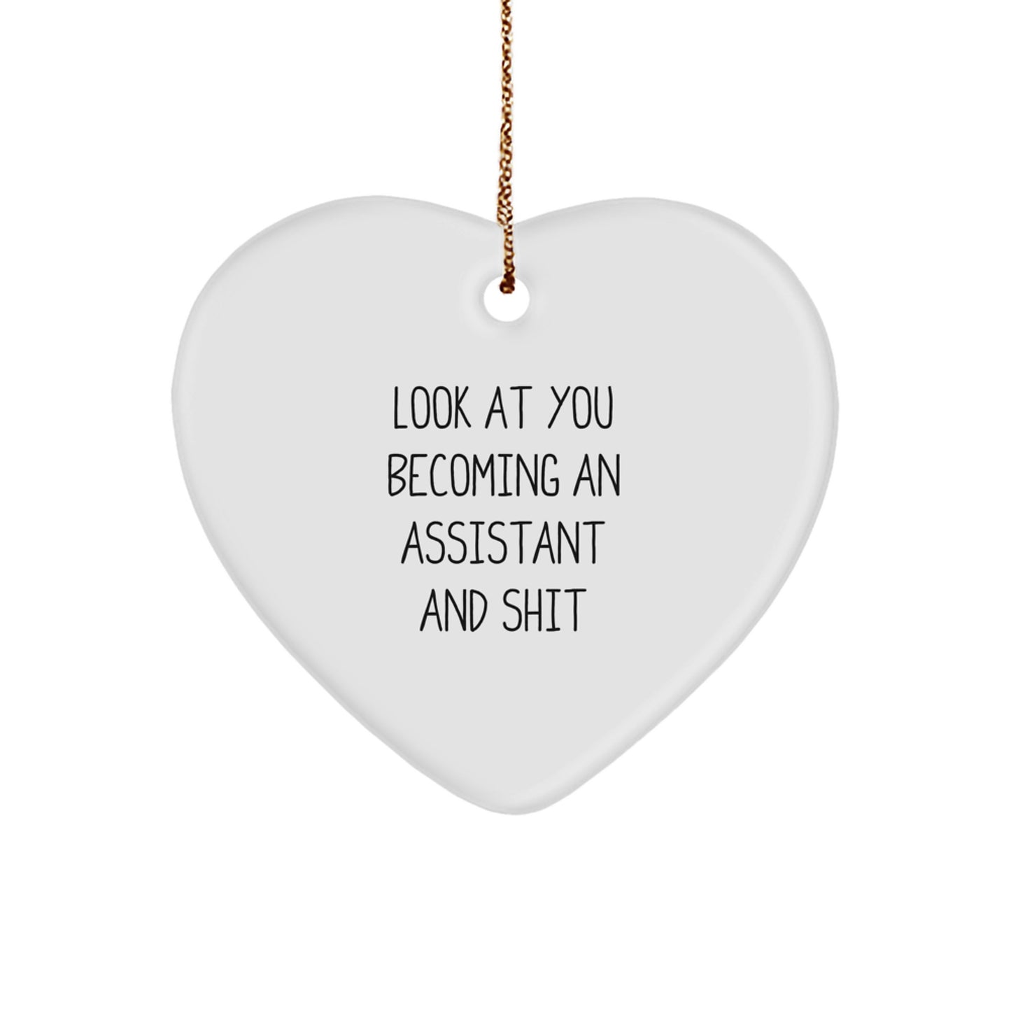 Assistant Heart Ornament Funny Quote Gifts for Assistant from Friends - Christmas Unique Gifts for Assistant - Image 1