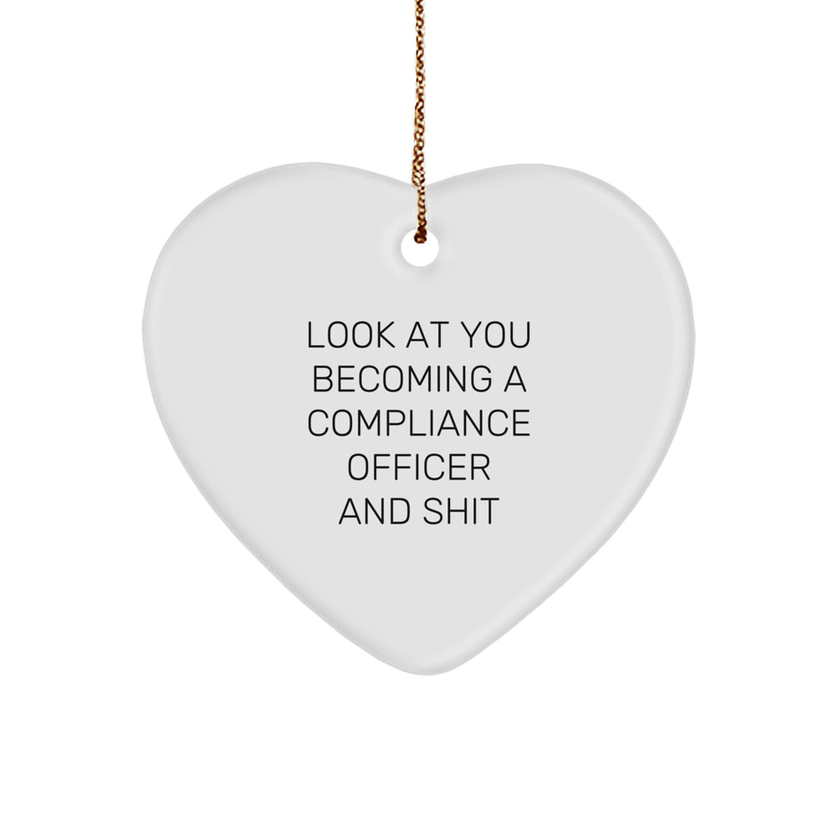 Compliance Officer Christmas Ornament Look at You Gift for Him Keepsake - Image 1
