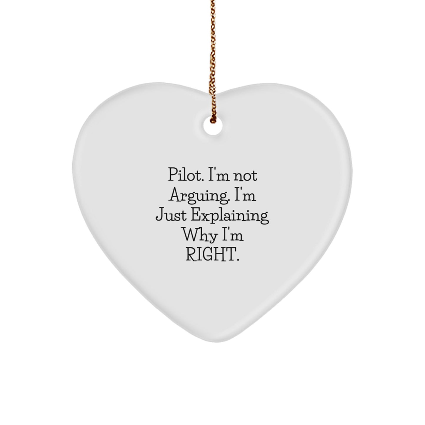 Pilot Favorite Heart Ornament for Kids Christmas Gift - Image 1