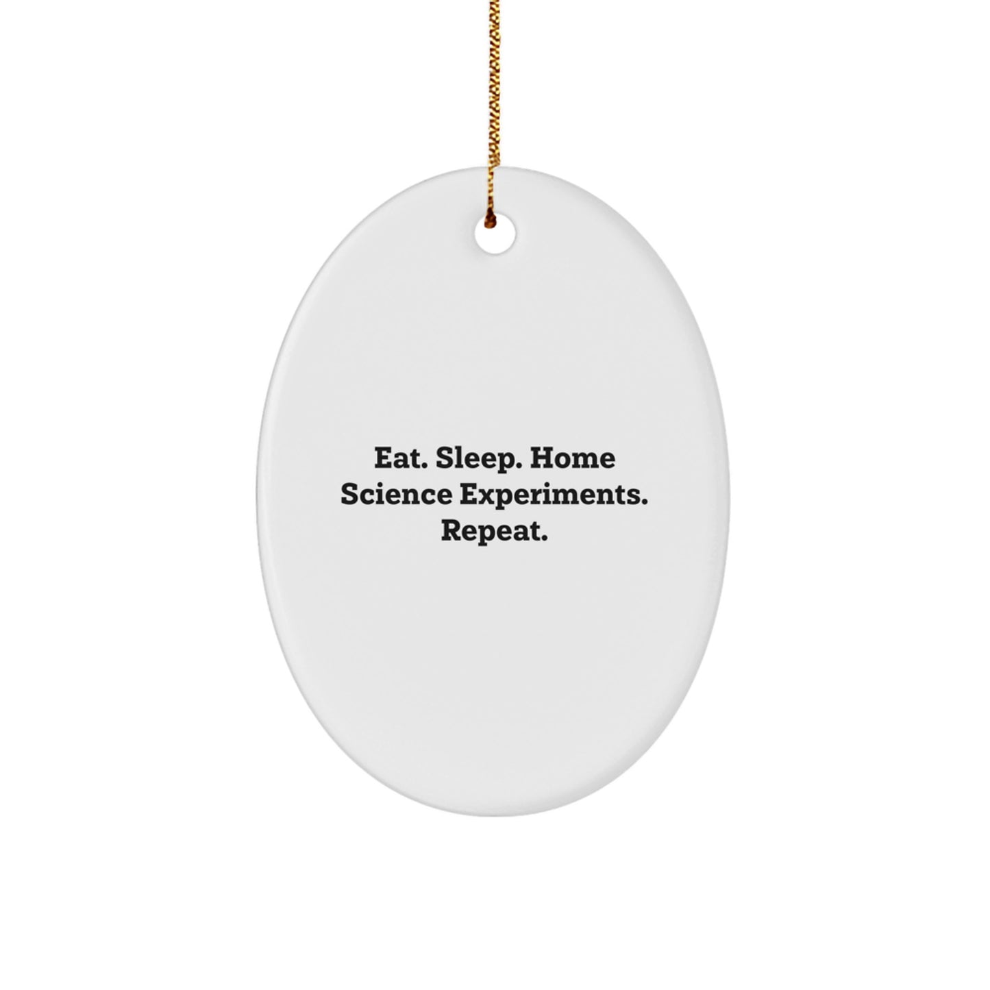 Home Science Experiments Oval Ornament - Funny Quote Gifts from Family and Friends for Christmas - Image 1