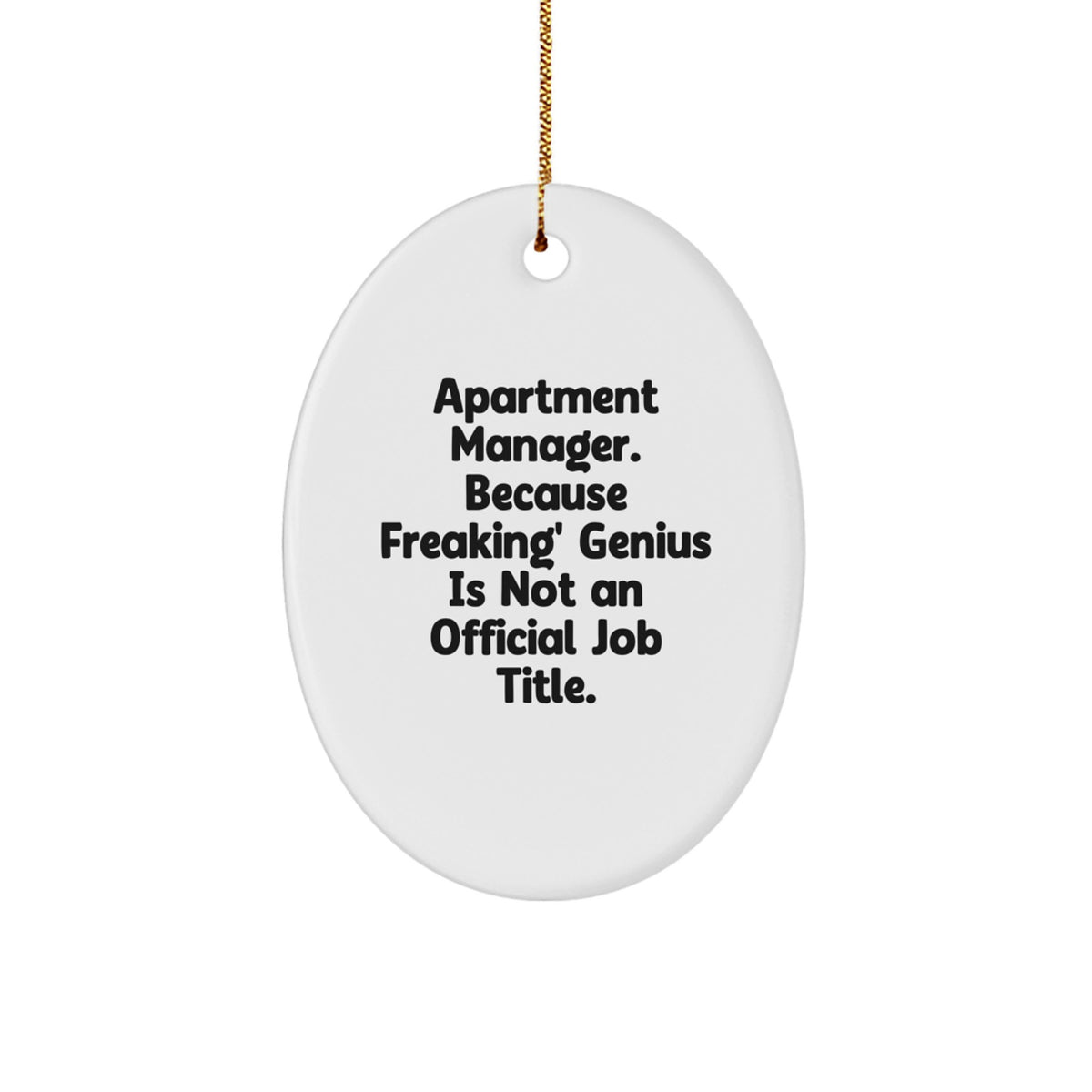 Funny Apartment Manager Gifts Oval Ornament, Gifts from Friends for Apartment Manager, Oval Shaped Christmas Unique Gifts - Image 1