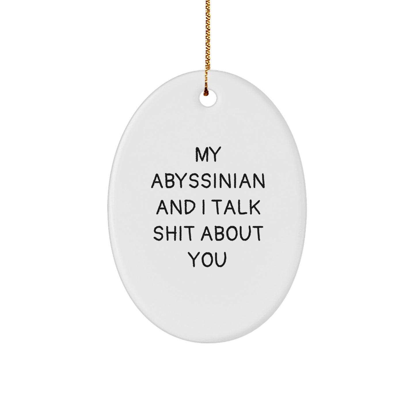 Funny Abyssinian Cat Gifts - Oval Ornament for Christmas Unique Gifts from Friends to Abyssinian Cat Lovers - Image 1