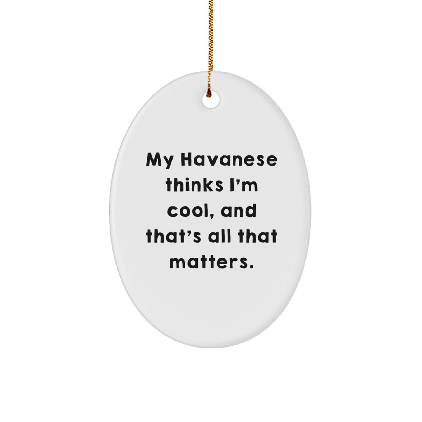 Funny Havanese Dog Oval Ornaments for Christmas Unique Gifts from Friends and Family - Image 1