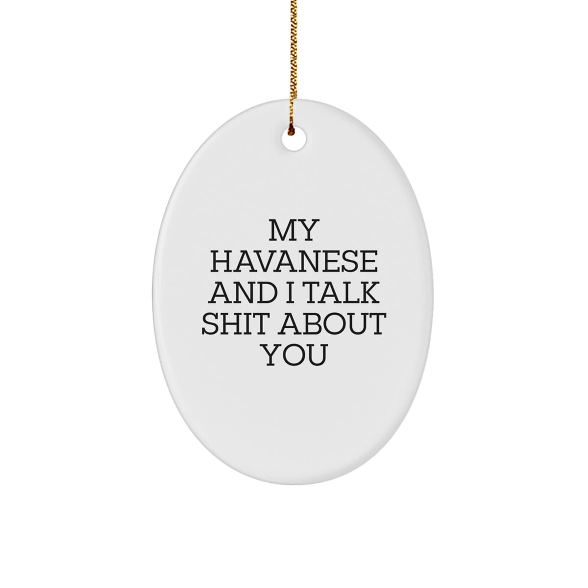 Bright Vibrant Havanese Dog Keepsake Christmas Ornament for Him Gift - Image 1