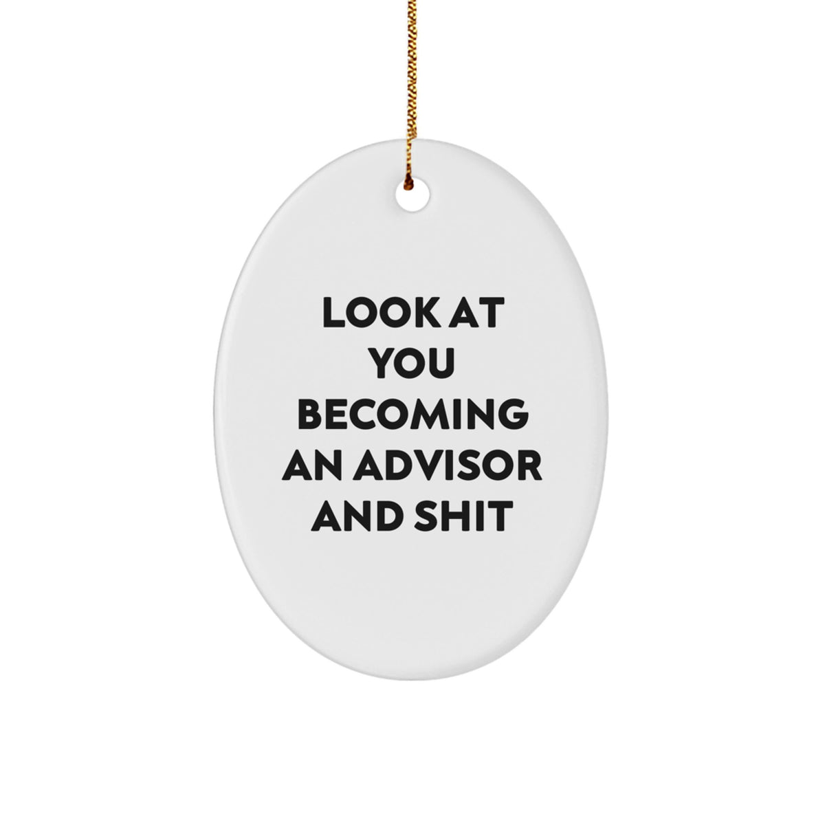 Sarcastic Advisor Christmas Ornament Look At You Gift for Friends - Image 1