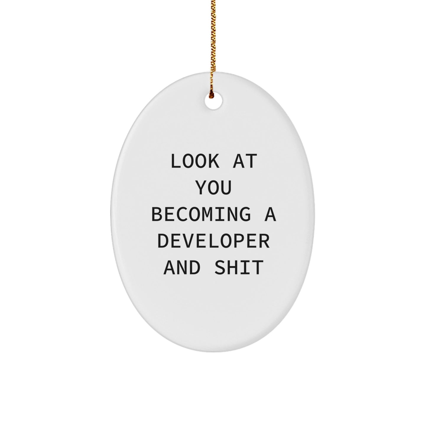 Funny Developer Oval Ornament for Christmas Unique Gifts from Friends and Family - Image 1