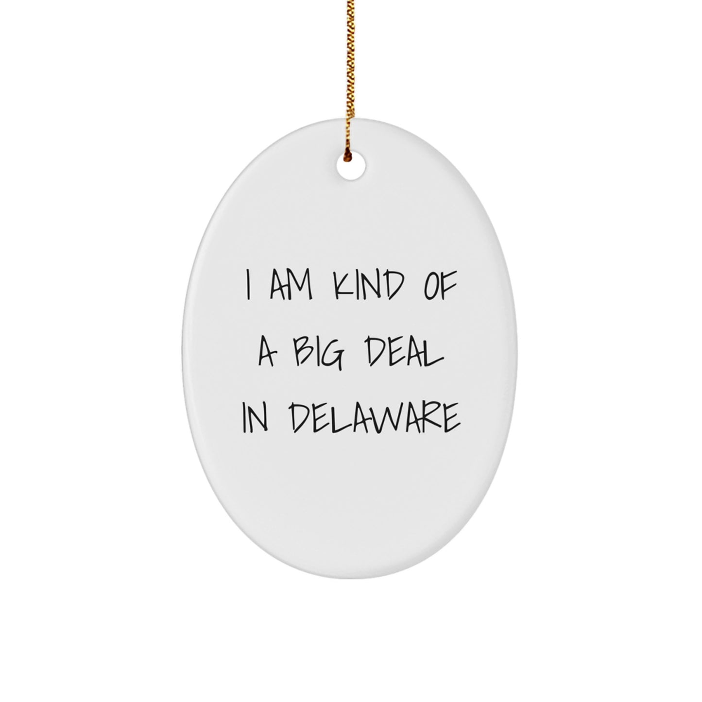 Delaware Oval Ornament I Am Kind Of A Prime Selection Funny Quote Gifts from Men to Friends for Delaware - Image 1