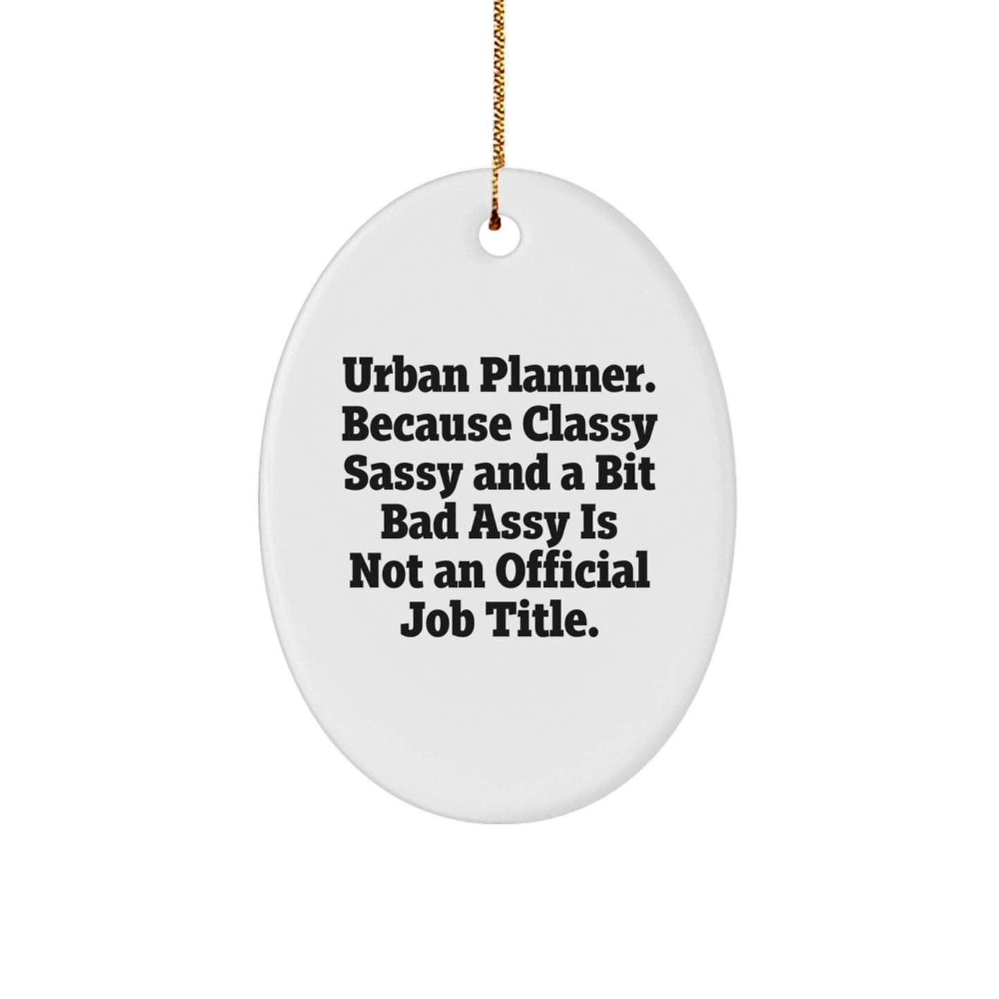 Unique Funny Urban Planner Oval Ornament Gifts from Friends and Family for Christmas - Image 1