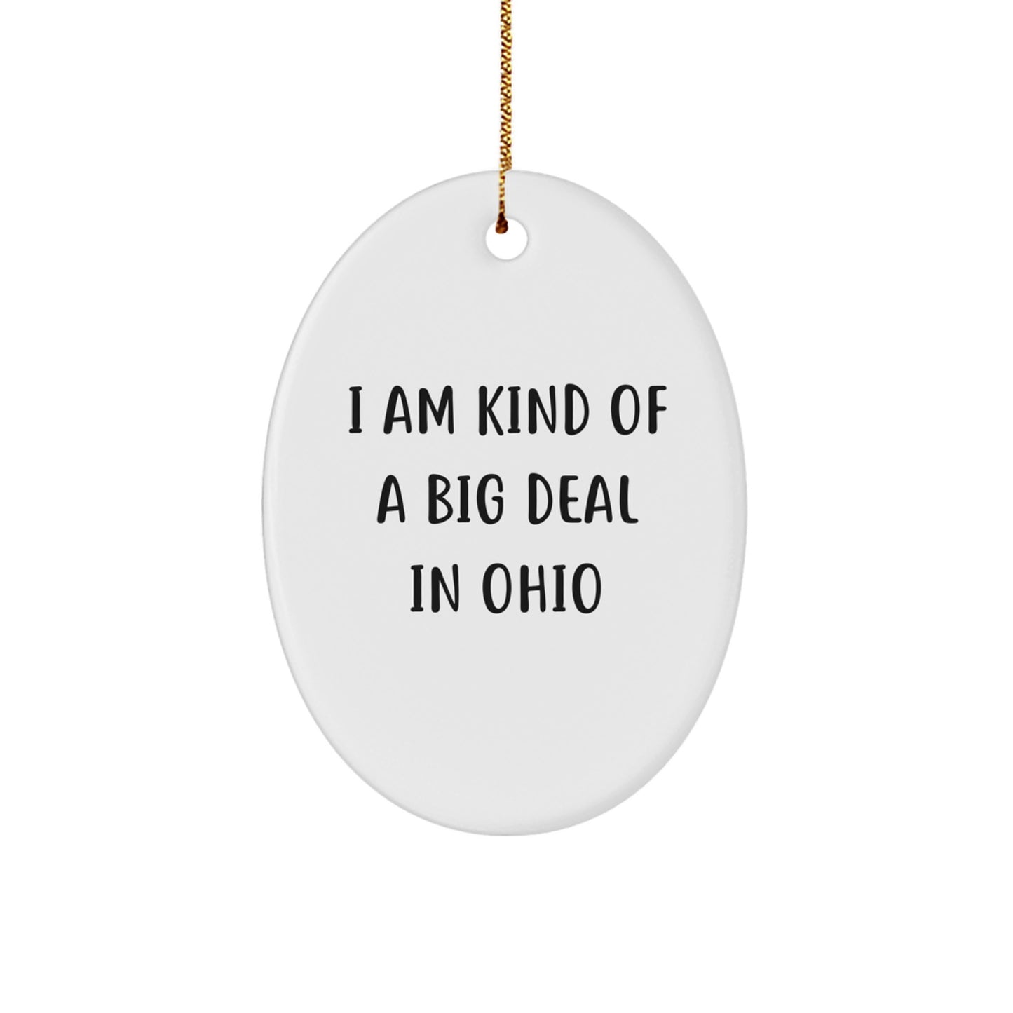 Funny Ohio Oval Ornament Gifts from Loved Ones, Perfect for Ohio Lovers and Christmas Decorations - I 'm Kind Of A Prime Selection In Ohio - Image 1
