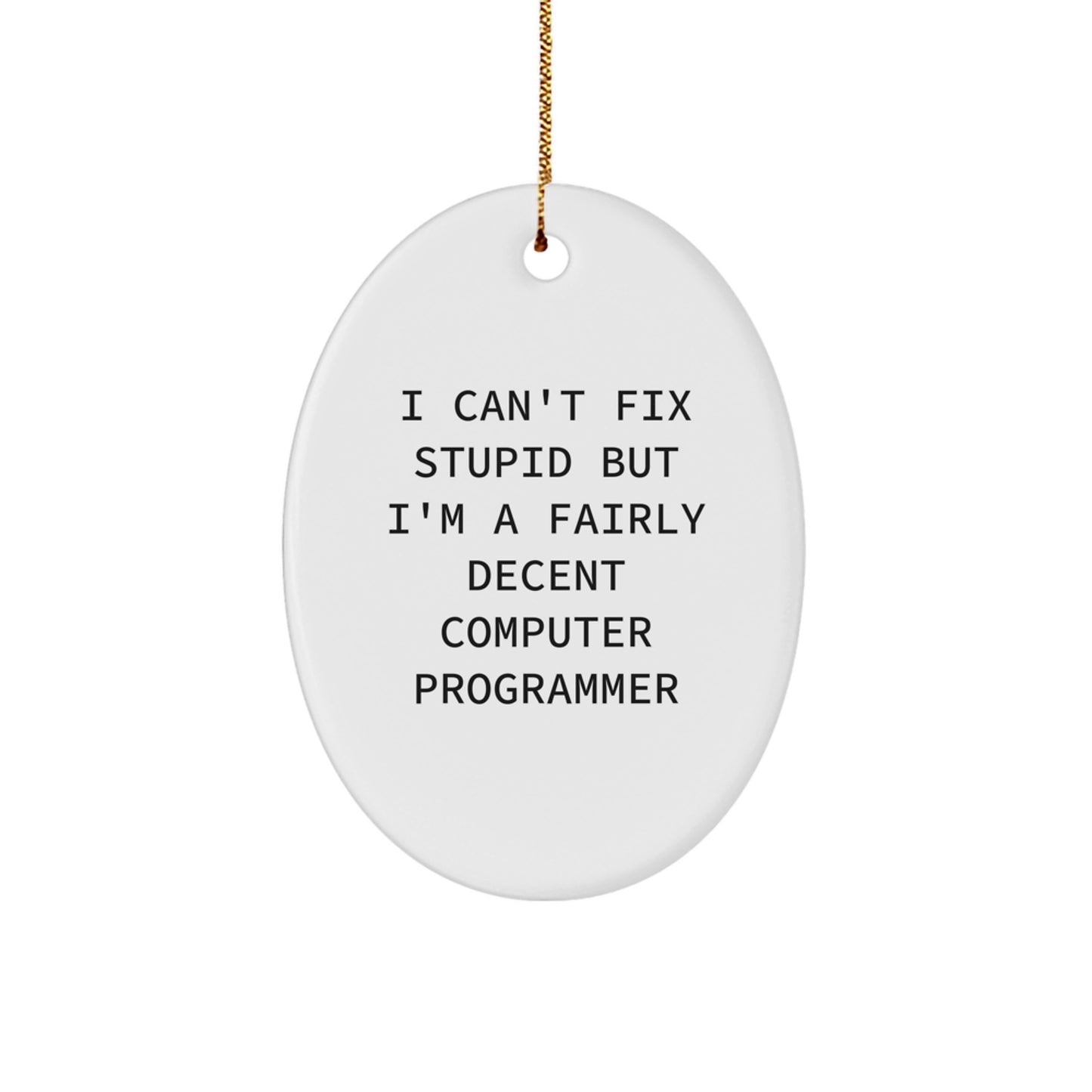Funny Computer Programmer Oval Ornament Gifts from Friends for Coworkers - I'm A Decent Computer Pro - Image 1