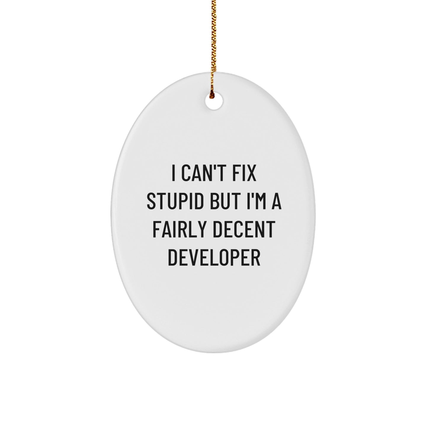 Funny Developer Gifts Oval Ornament I Can't Fix Stupid But I'm A Fairly Decent Developer, Unique Christmas Unique Gifts for Developer Friends, Oval Shaped Developer Gift - Image 1
