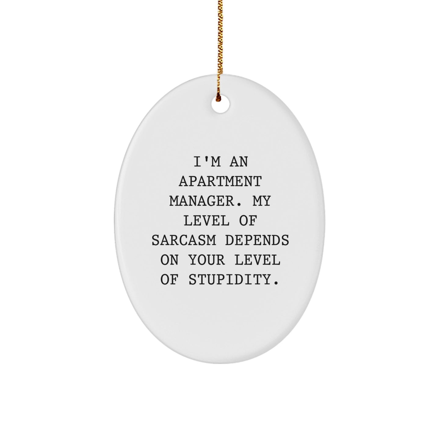 Funny Sarcasm Gifts from Apartment Manager Friends for Christmas - Image 1