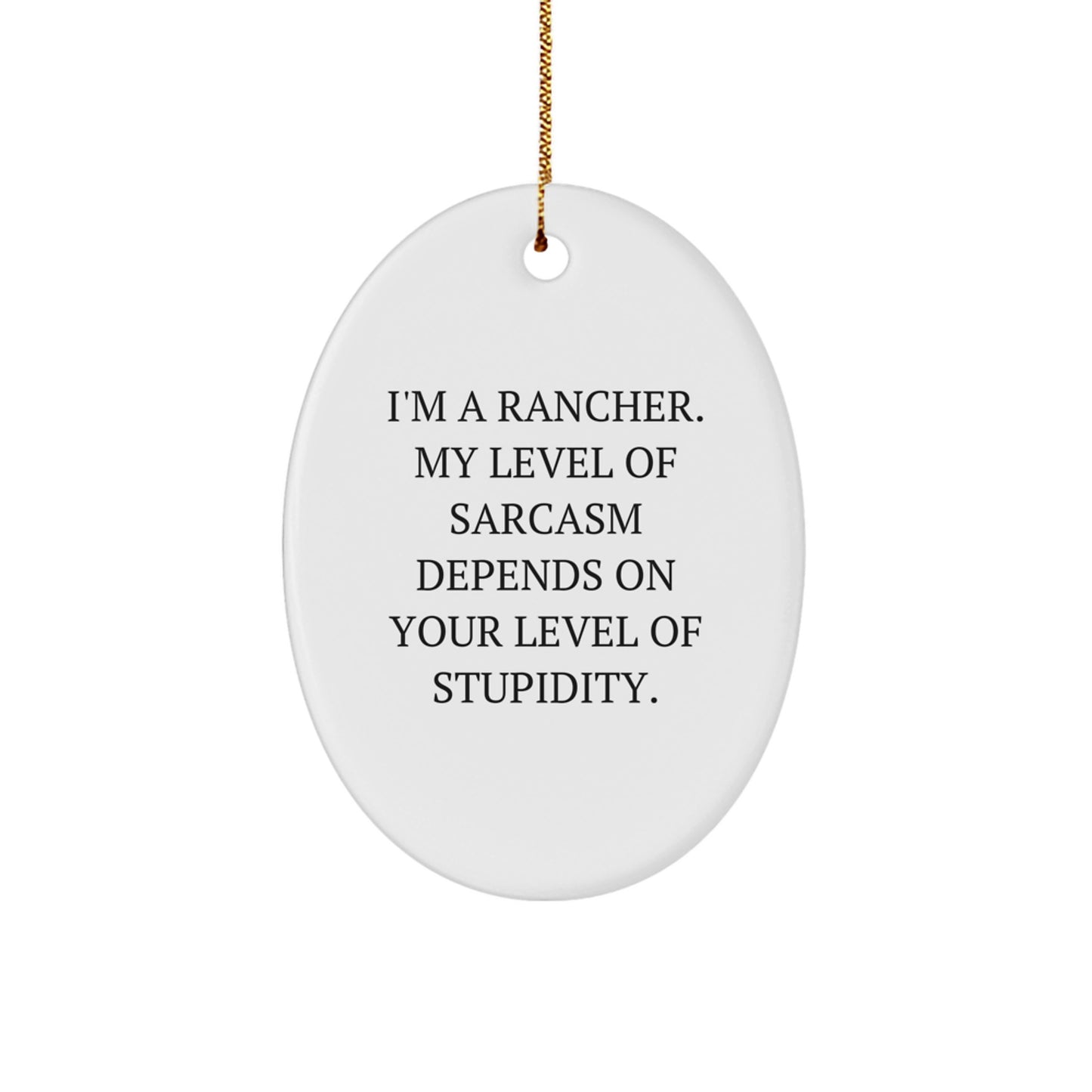 Funny Rancher Oval Ornament Gifts from Friends for Christmas Decoration Home Decor - Image 1