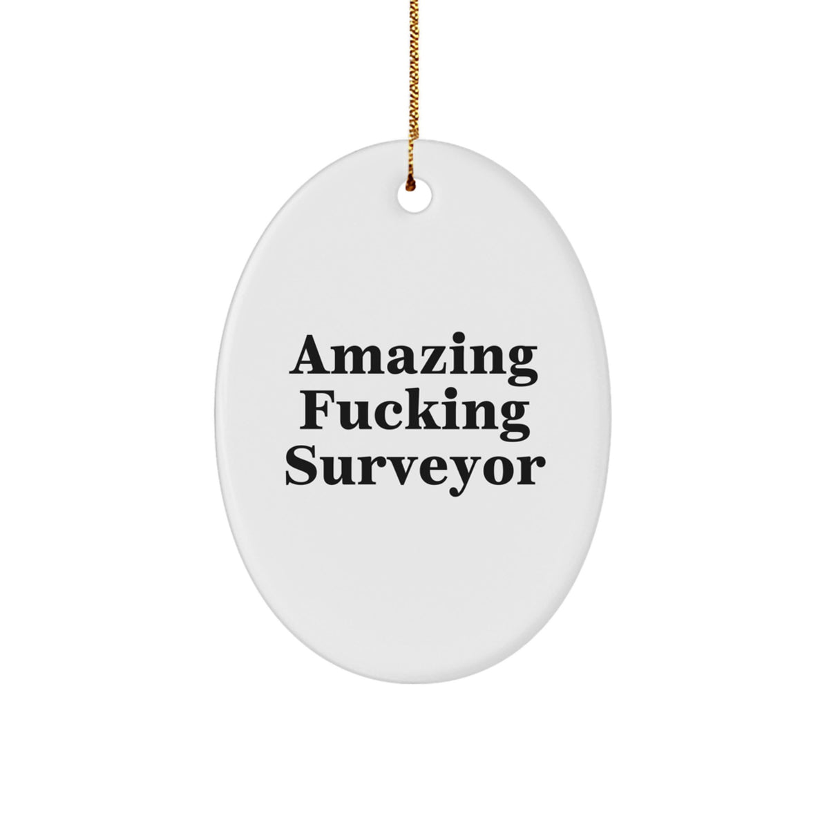 Funny Surveyor Gifts for Men - Oval Ornament with Amazing Quote, Perfect Christmas Unique Gifts from Men to Surveyor Friends - Image 1