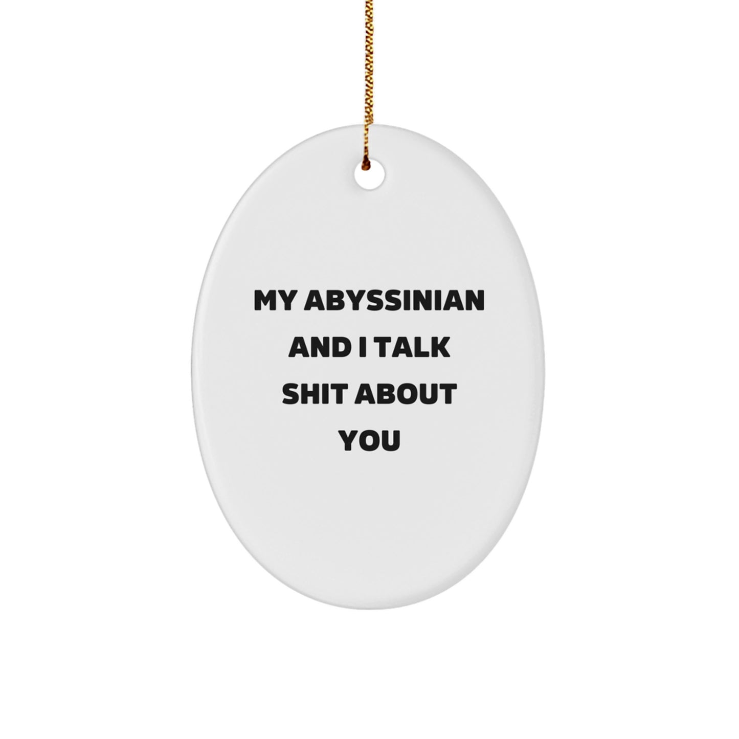 Funny Abyssinian Cat Oval Ornament Gifts from Friends to Abyssinian Cat Lovers on Christmas Unique Gifts - Image 1