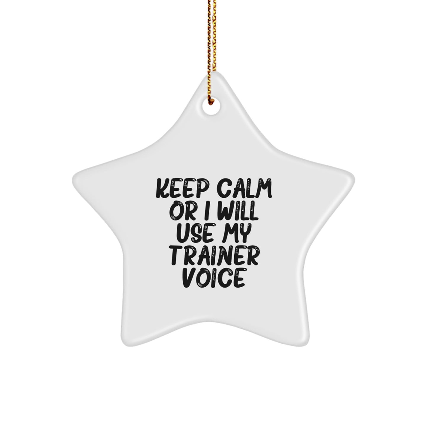 Funny Trainer Gifts from Friends, Star Ornament with Inspirational Quote, Keeps Them in Line at Christmas, Unique Christmas Unique Gifts for Men - Image 1