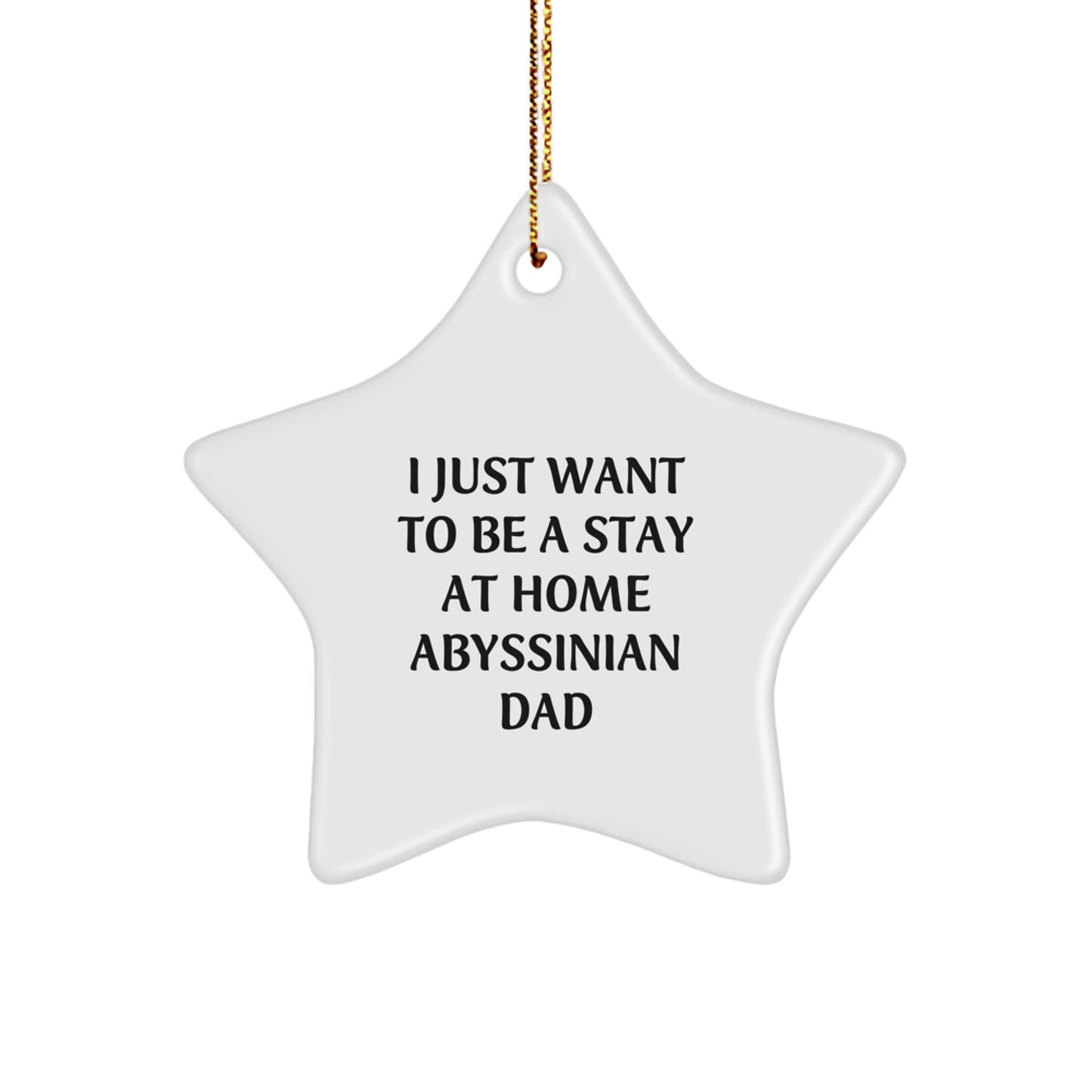 Funny Abyssinian Cat Star Ornament Gifts for Dad Men from Family this Christmas Unique Star - Image 1