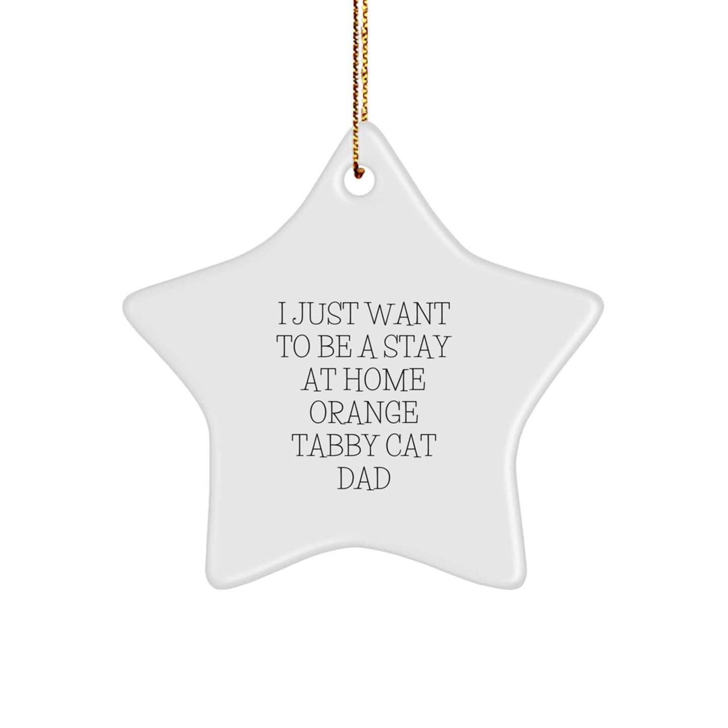 Orange Tabby Cat Lover's Star Ornament Gifts from Dad for Men Friends Family, Funny Christmas Unique Star Ornaments, I Just Want To Be A Stay At Home Orange Tabby Cat Dad - Image 1