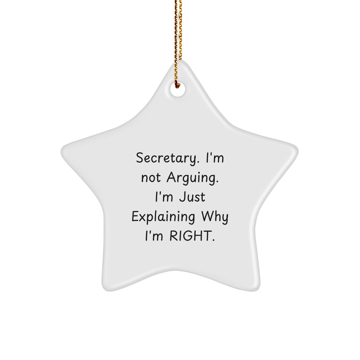 Funny Secretary Star Ornament Gifts from Friends to Secretary Staff, Christmas Unique Gifts for Secretary, 'I'm Not Arguing. I'm Just Explaining Why I'm Right.' Funny Secretary Star Decoration - Image 1