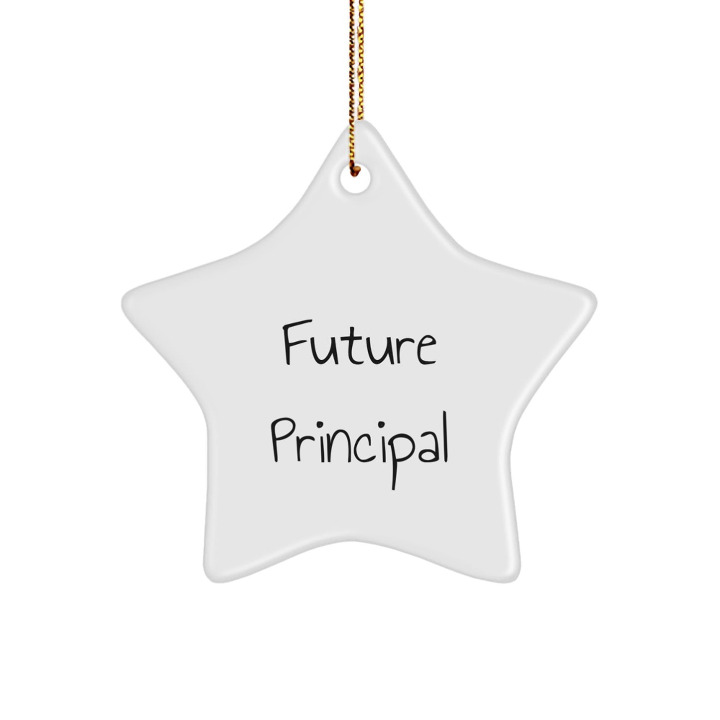 Funny Gift for Future Principal, Principal Star Ornament, Inspirational Quote - Gifts from Men, Women, Friends or Coworkers to Principal, Christmas Unique Gifts - Image 1