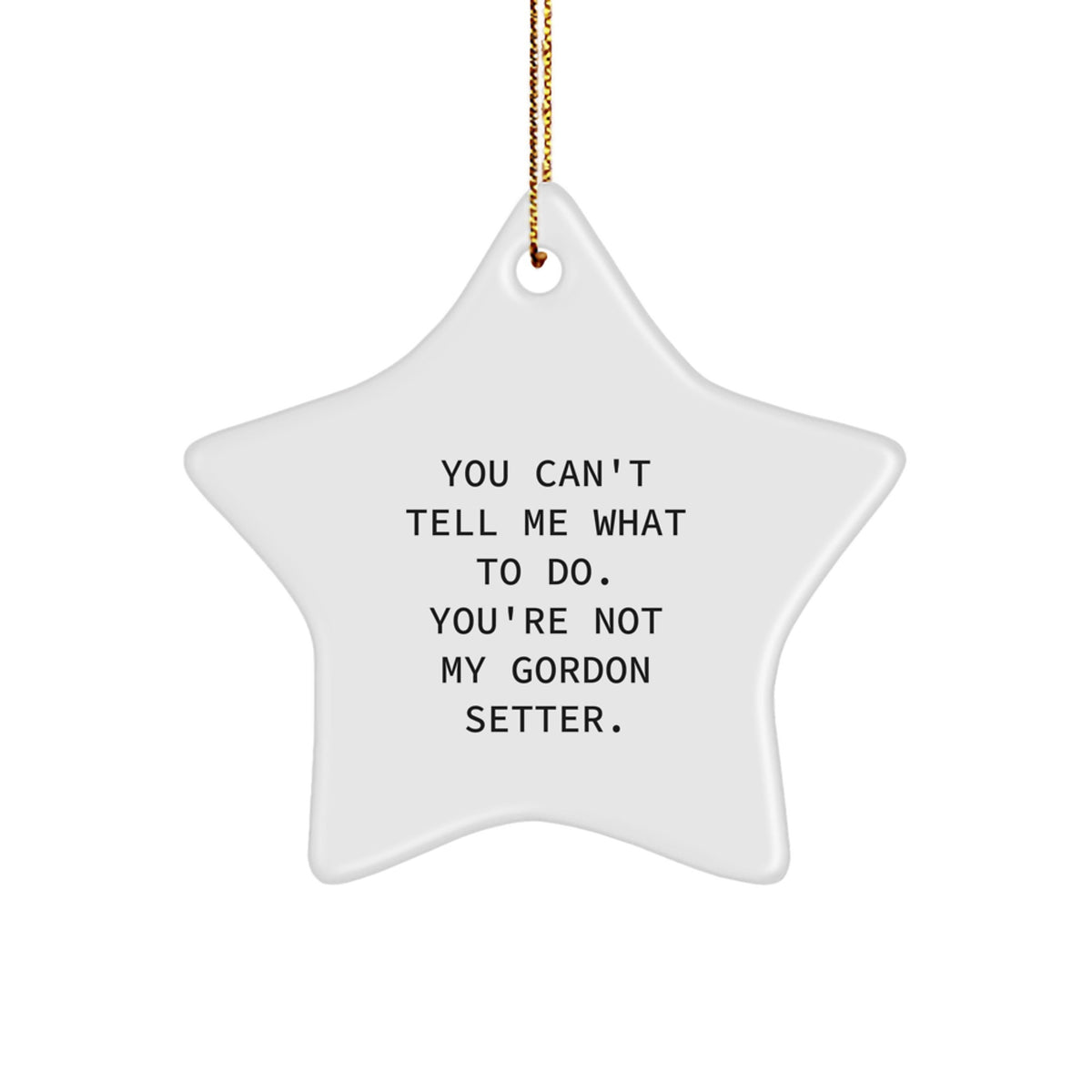 Funny Gordon Setter Dog Gifts from Friends for Christmas Unique Star Ornaments - Image 1