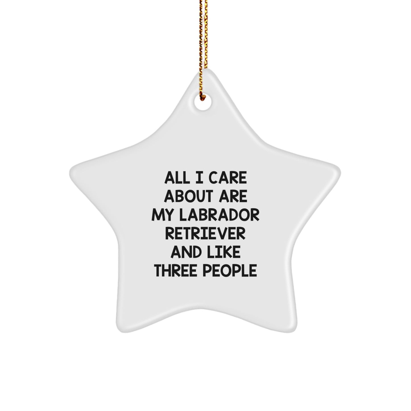 Funny Labrador Retriever Dog Christmas Star Ornament Gifts from Family - Image 1