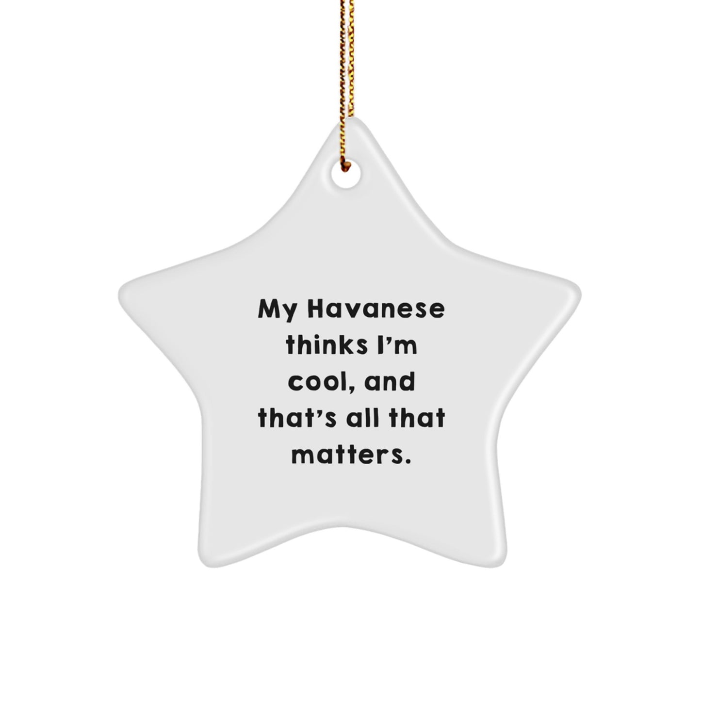 Havanese Dog Star Ornament Gifts from Friends and Family for Christmas Unique Decorations - 'My Havanese Thinks I'm Cool, And That's All That Matters.' - Image 1