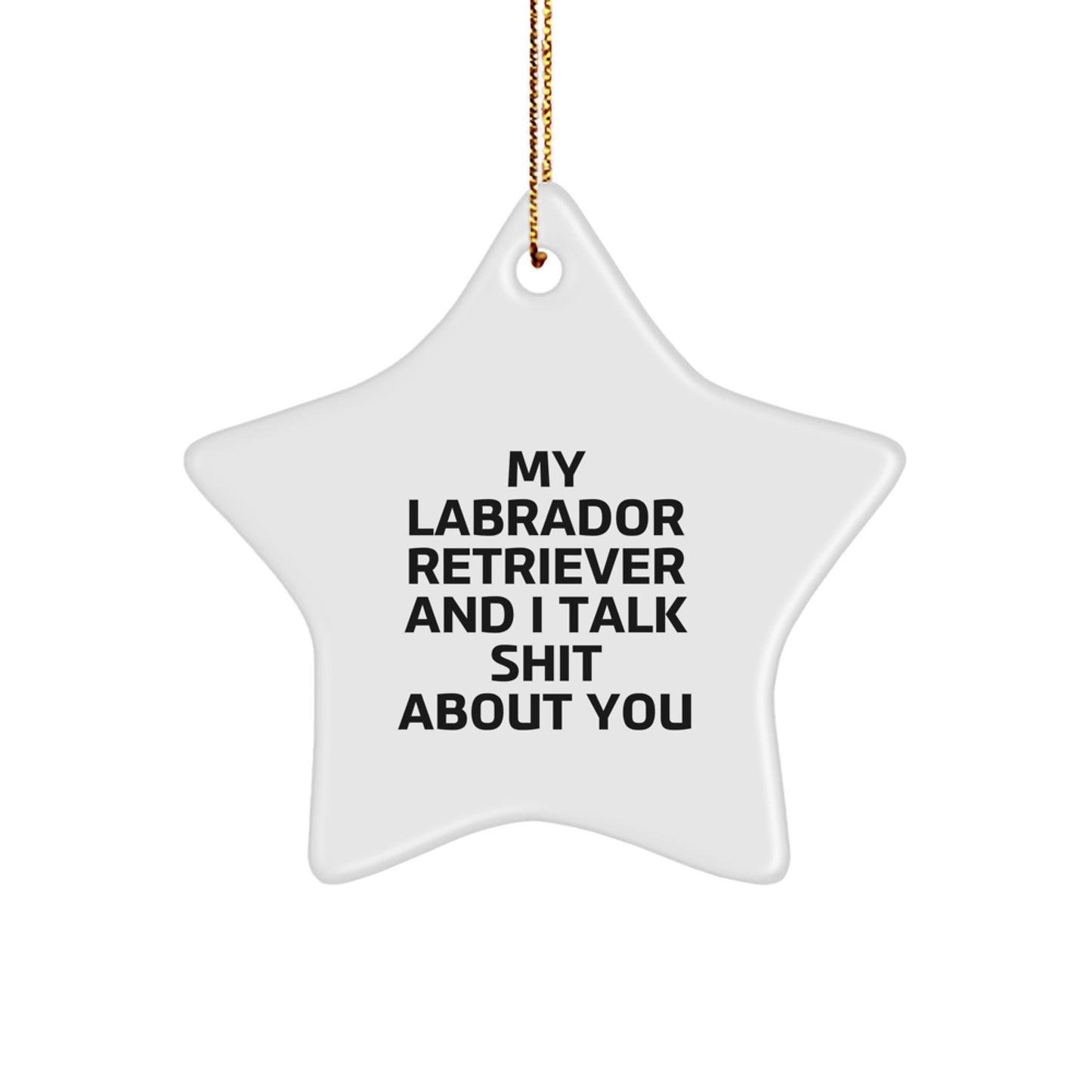 Labrador Retriever Dog Lover Funny Gifts, Funny Labrador Retriever Dog Star Ornament, Gifts from Friends for Christmas Unique Gifts - Image 1
