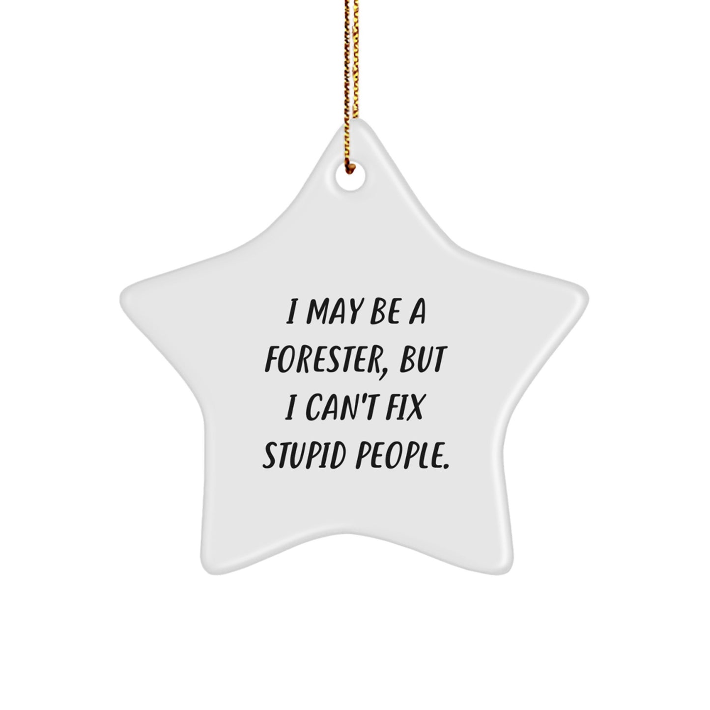Funny Forester Star Ornament Gifts from Friends and Family for Men - 'I May Be A Forester, But I Can't Fix Stupid People.' Christmas Unique Star Decorations - Image 1