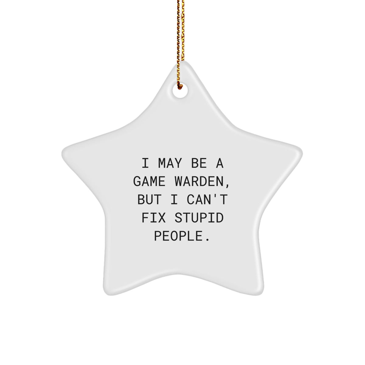 Xmas Gift Game Warden Star Ornament for Her I Can't Fix Stupid People - Image 1